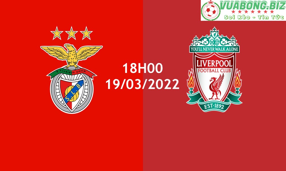 Soi Kèo Benfica vs Liverpool, 18H00 – 19/03/2022, Champions League