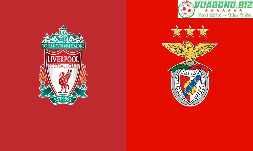 Soi Kèo Liverpool vs Benfica, 02H00 -14/04/2022, Champions League