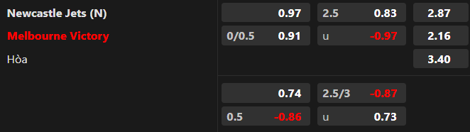 Nhận định bóng đá Newcastle Jets vs Melbourne Victory, 16h30 ngày 17/7 – cúp quốc gia Australia